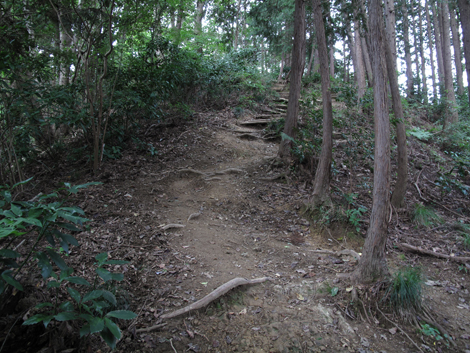 20171005hike (21)